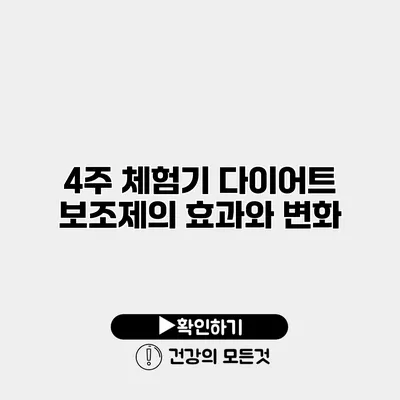 4주 체험기 다이어트 보조제의 효과와 변화