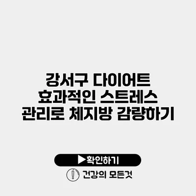 강서구 다이어트 효과적인 스트레스 관리로 체지방 감량하기