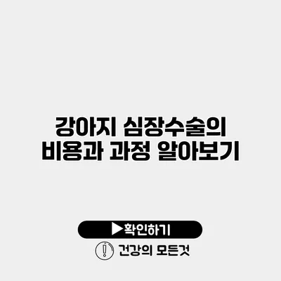 강아지 심장수술의 비용과 과정 알아보기