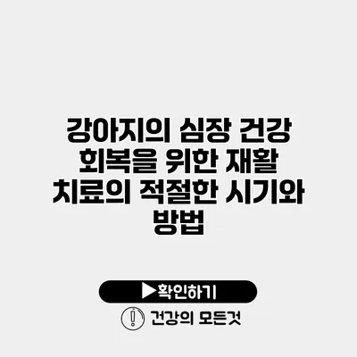 강아지의 심장 건강 회복을 위한 재활 치료의 적절한 시기와 방법