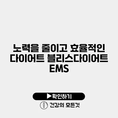 노력을 줄이고 효율적인 다이어트 블리스다이어트 EMS
