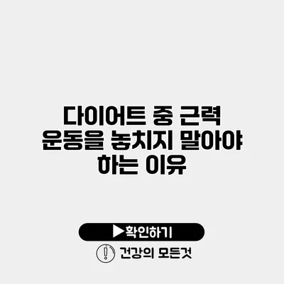 다이어트 중 근력 운동을 놓치지 말아야 하는 이유