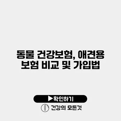 동물 건강보험, 애견용 보험 비교 및 가입법