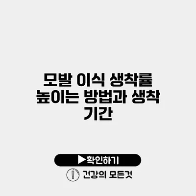 모발 이식 생착률 높이는 방법과 생착 기간