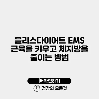 블리스다이어트 EMS 근육을 키우고 체지방을 줄이는 방법