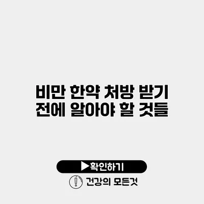 비만 한약 처방 받기 전에 알아야 할 것들