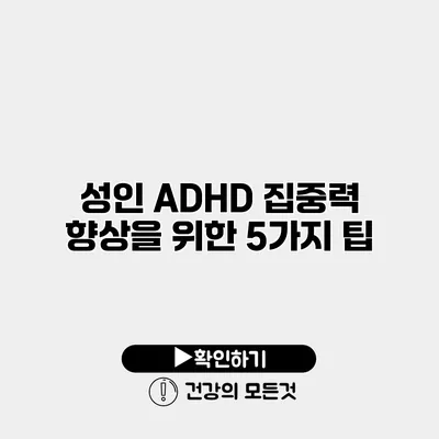 성인 ADHD 집중력 향상을 위한 5가지 팁