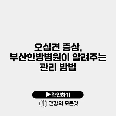 오십견 증상, 부산한방병원이 알려주는 관리 방법
