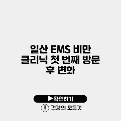 일산 EMS 비만 클리닉 첫 번째 방문 후 변화