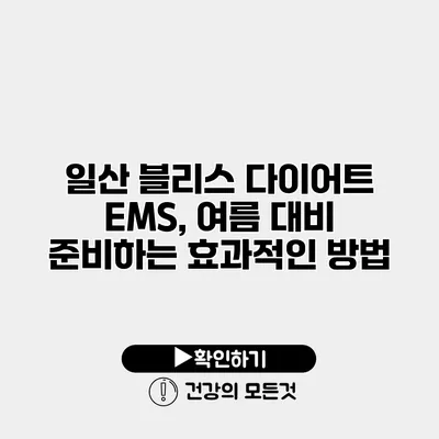 일산 블리스 다이어트 EMS, 여름 대비 준비하는 효과적인 방법