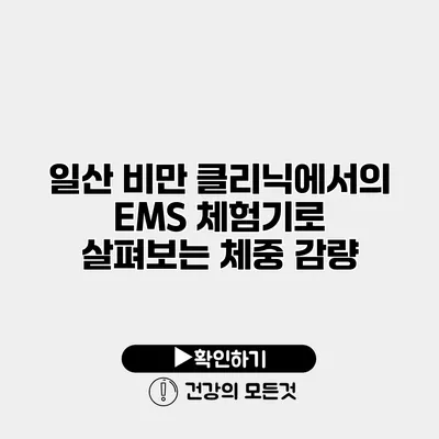 일산 비만 클리닉에서의 EMS 체험기로 살펴보는 체중 감량