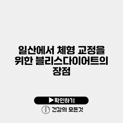 일산에서 체형 교정을 위한 블리스다이어트의 장점