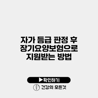 자가 등급 판정 후 장기요양보험으로 지원받는 방법