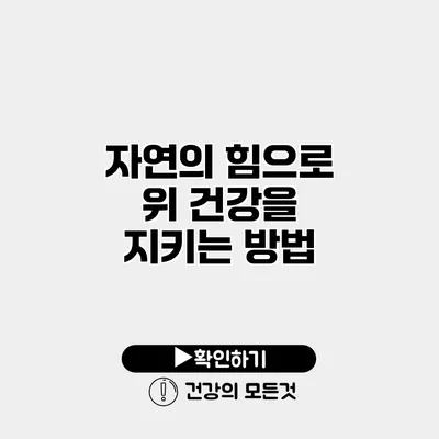 자연의 힘으로 위 건강을 지키는 방법
