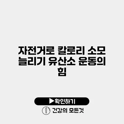 자전거로 칼로리 소모 늘리기 유산소 운동의 힘
