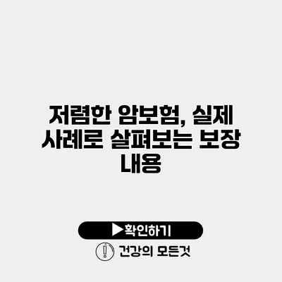 저렴한 암보험, 실제 사례로 살펴보는 보장 내용