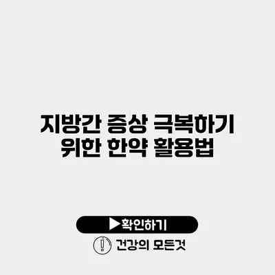 지방간 증상 극복하기 위한 한약 활용법