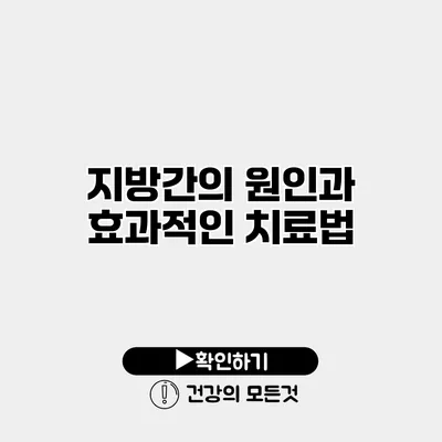 지방간의 원인과 효과적인 치료법