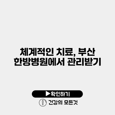 체계적인 치료, 부산 한방병원에서 관리받기