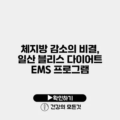 체지방 감소의 비결, 일산 블리스 다이어트 EMS 프로그램