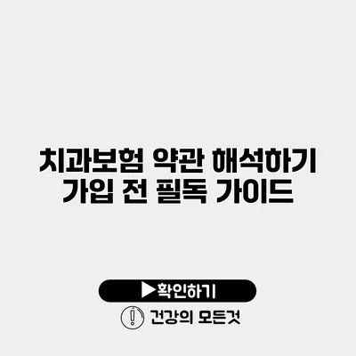 치과보험 약관 해석하기 가입 전 필독 가이드