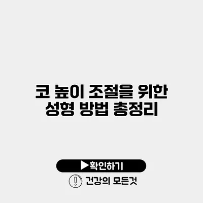 코 높이 조절을 위한 성형 방법 총정리