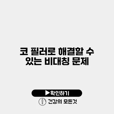 코 필러로 해결할 수 있는 비대칭 문제