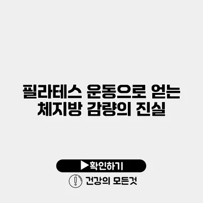 필라테스 운동으로 얻는 체지방 감량의 진실