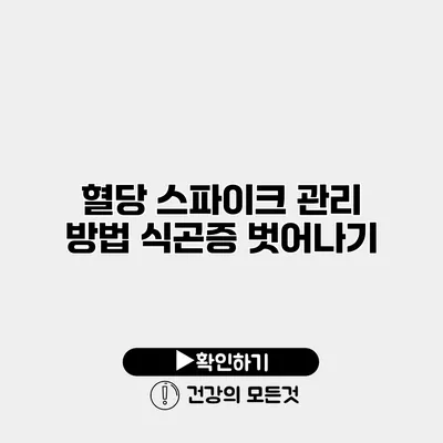 혈당 스파이크 관리 방법 식곤증 벗어나기