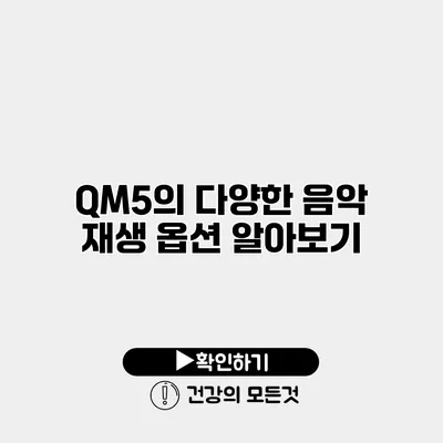 QM5의 다양한 음악 재생 옵션 알아보기