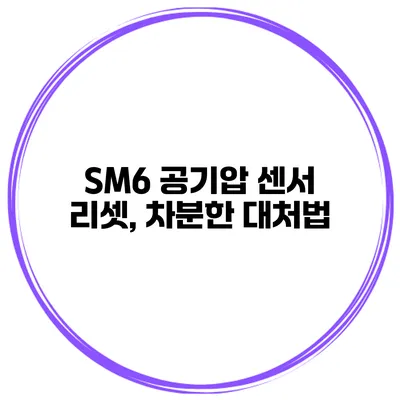 SM6 공기압 센서 리셋, 차분한 대처법