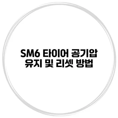 SM6 타이어 공기압 유지 및 리셋 방법