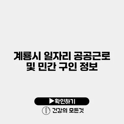 계룡시 일자리 공공근로 및 민간 구인 정보
