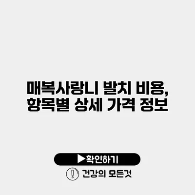 매복사랑니 발치 비용, 항목별 상세 가격 정보