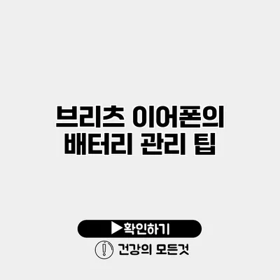 브리츠 이어폰의 배터리 관리 팁