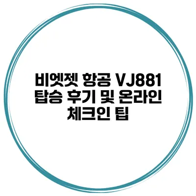 비엣젯 항공 VJ881 탑승 후기 및 온라인 체크인 팁