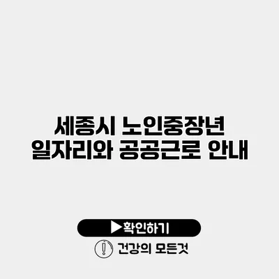 세종시 노인중장년 일자리와 공공근로 안내