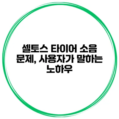 셀토스 타이어 소음 문제, 사용자가 말하는 노하우