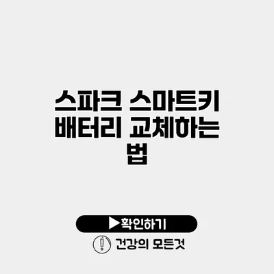 스파크 스마트키 배터리 교체하는 법