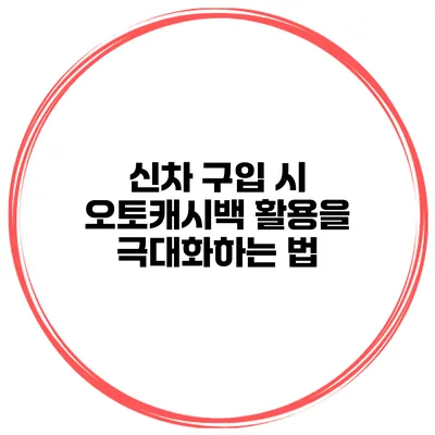 신차 구입 시 오토캐시백 활용을 극대화하는 법