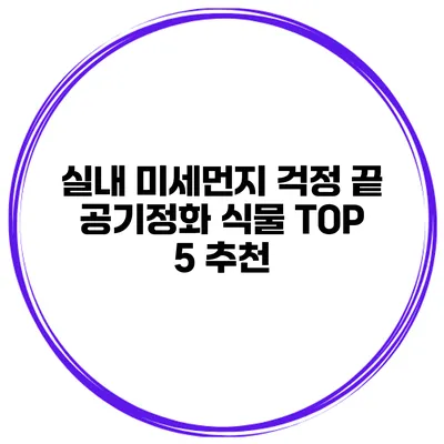 실내 미세먼지 걱정 끝 공기정화 식물 TOP 5 추천