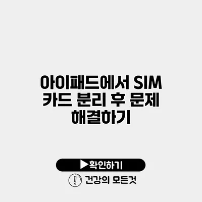 아이패드에서 SIM 카드 분리 후 문제 해결하기