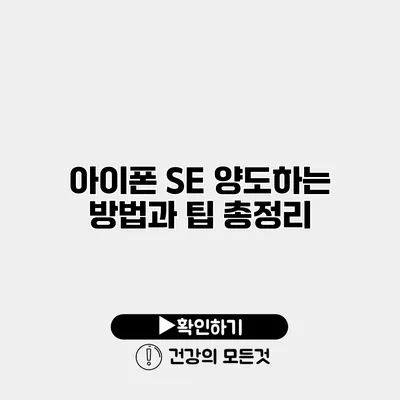 아이폰 SE 양도하는 방법과 팁 총정리