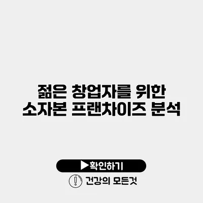 젊은 창업자를 위한 소자본 프랜차이즈 분석