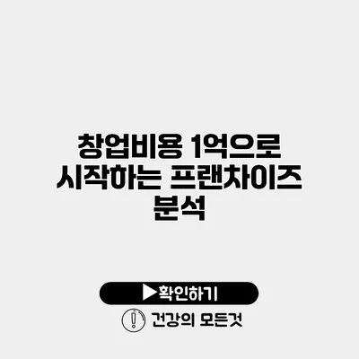 창업비용 1억으로 시작하는 프랜차이즈 분석