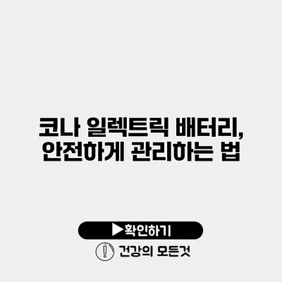 코나 일렉트릭 배터리, 안전하게 관리하는 법