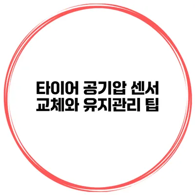 타이어 공기압 센서 교체와 유지관리 팁