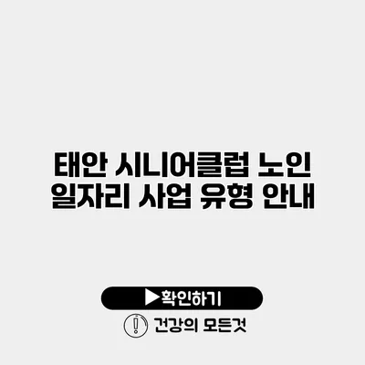 태안 시니어클럽 노인 일자리 사업 유형 안내
