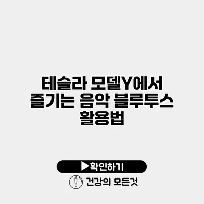 테슬라 모델Y에서 즐기는 음악 블루투스 활용법