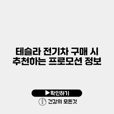 테슬라 전기차 구매 시 추천하는 프로모션 정보